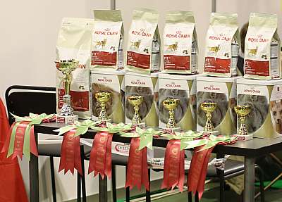 �������� ����� '���-�����-�������' 18-19 ������� 2014 169A3209 copy.jpg